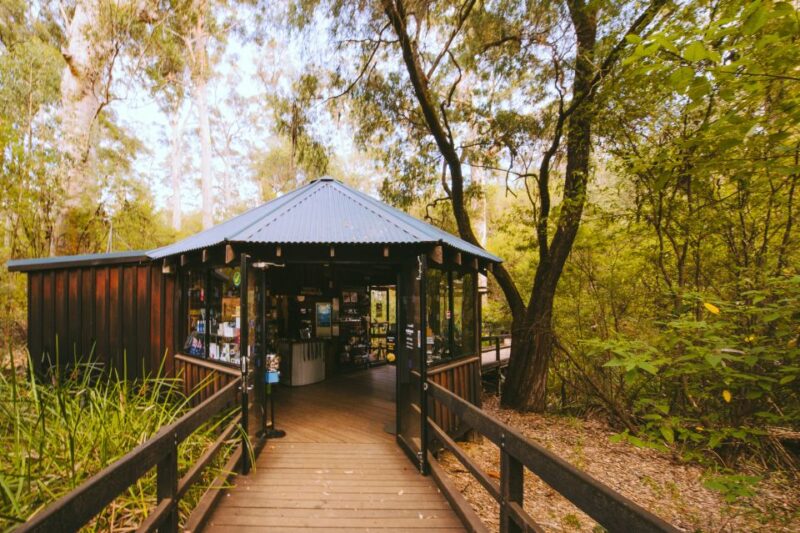 Margaret River: Self-Guided Audio Tour of Mammoth Cave - Cave Experience and Highlights