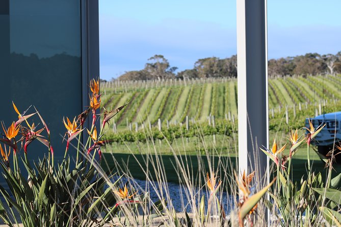 Margaret River Wine and Sights Discovery Tour From Busselton or Dunsborough - Pickup and Drop-off Options