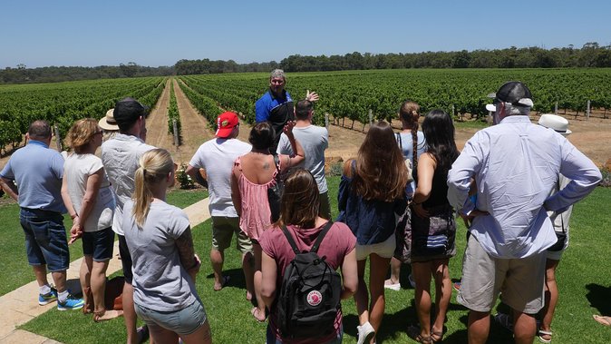 Margaret River Wine Tour: The Full Bottle - Culinary Delights and Discoveries