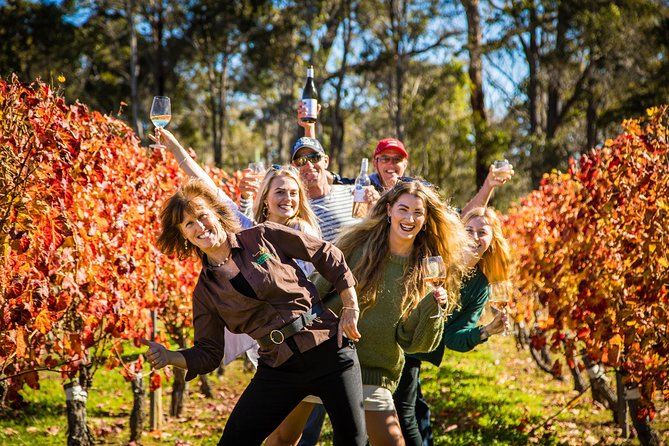 Margaret River Winery and Brewery Day Trip, Plus Gourmet Winery Lunch - Accessibility
