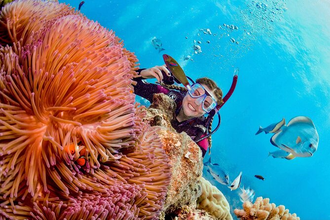Margaritaville/Jeski Tour or Snorkeling in Montego Bay - About Your Stay
