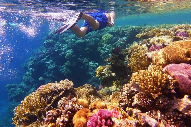 Margaritaville/Jeski Tour or Snorkeling in Montego Bay - Booking Your Stay