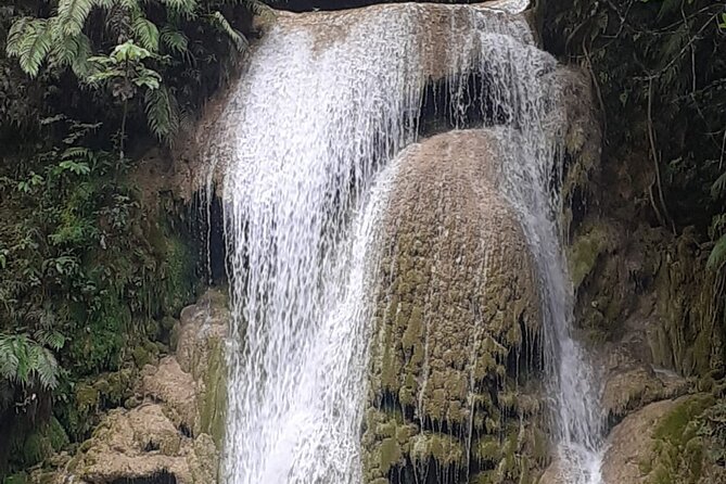 María and Miguel Stop - Half Day Tour to El Limón Waterfall With Lunch Included - Tour Cancellation Policy