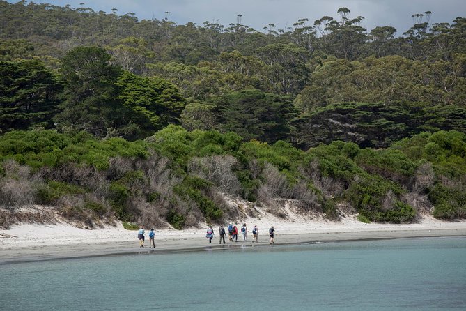 Maria Island Active Day Tour From Hobart - Scenic Ferry Journey