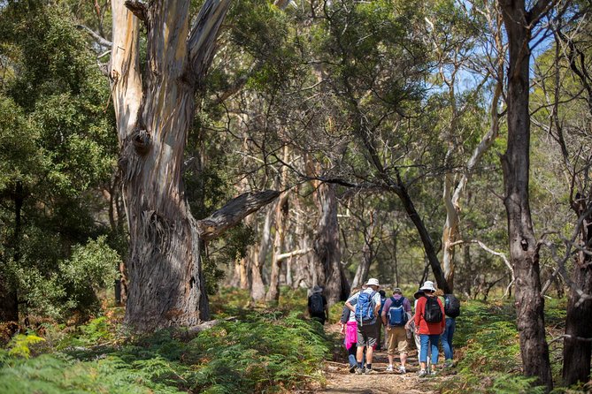 Maria Island Active Day Tour From Hobart - Exploring Convict History