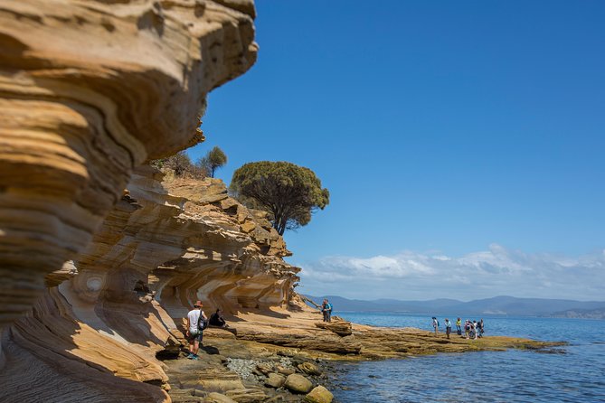 Maria Island Active Day Tour From Hobart - Natural Beauty and Wildlife