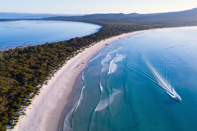Maria Island Cruise and Guided Walk Day Tour With Lunch and Drinks - Lunch Options