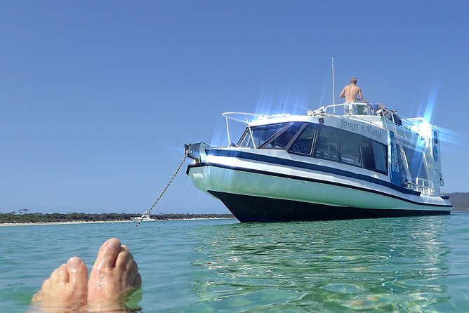 Maria Island Cruise and Guided Walk Day Tour With Lunch and Drinks - Shuttle Bus and Hotel Pickup