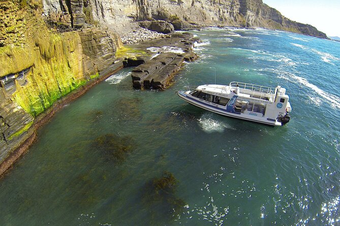 Maria Island Ferry Connection (Hobart to Triabunna Round Trip) - Customer Feedback Highlights