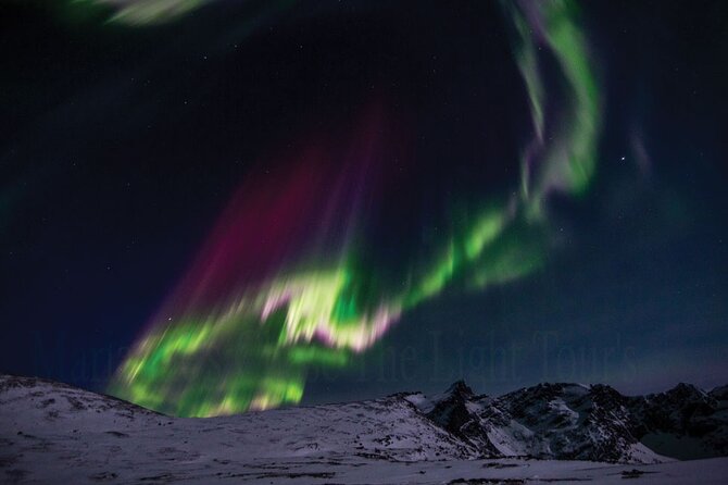 Marianne's Heaven On Earth Aurora Chaser Tours - Booking and Confirmation