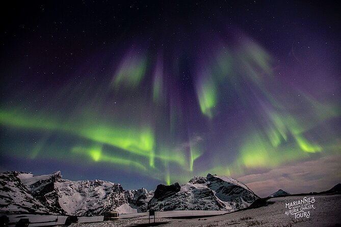Marianne's Heaven On Earth Aurora Chaser Tours - Additional Tour Details
