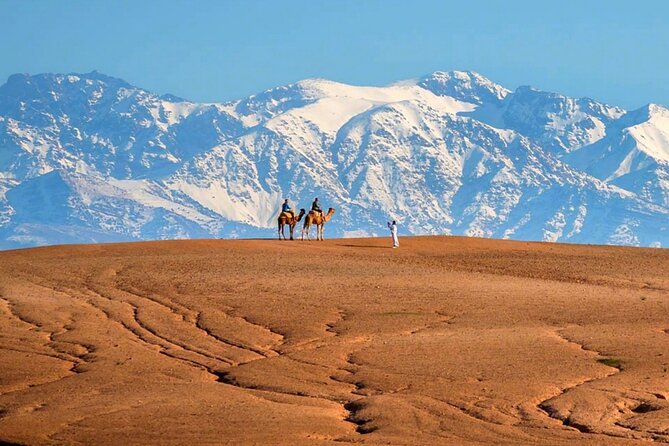 Marical Dinner and Camel Ride at Sunset in Desert of Marrakech - Meeting and Pickup Logistics