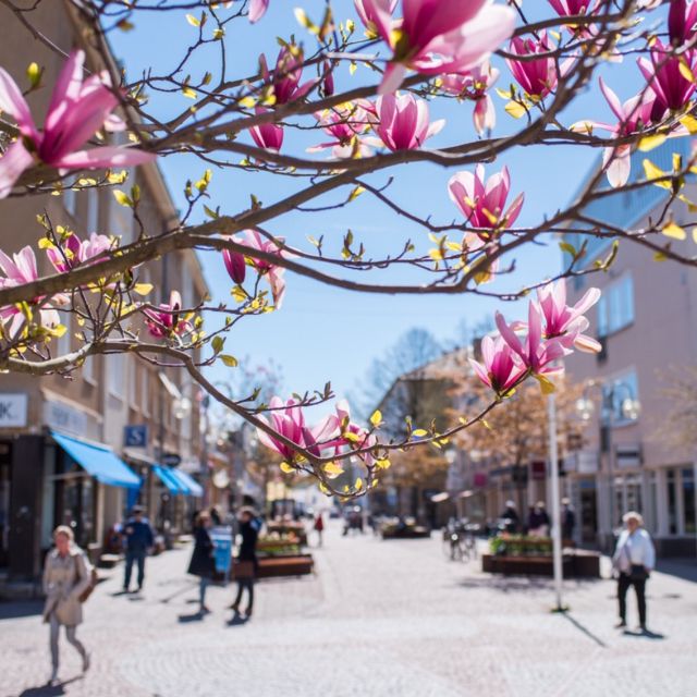 Mariehamn Private Guided Walking Tour - Mariehamn: The Capital of Åland