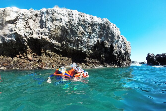 Marietas Islands Snorkeling & Hidden Beach (W/ Restrictions) - Restrictions and Requirements