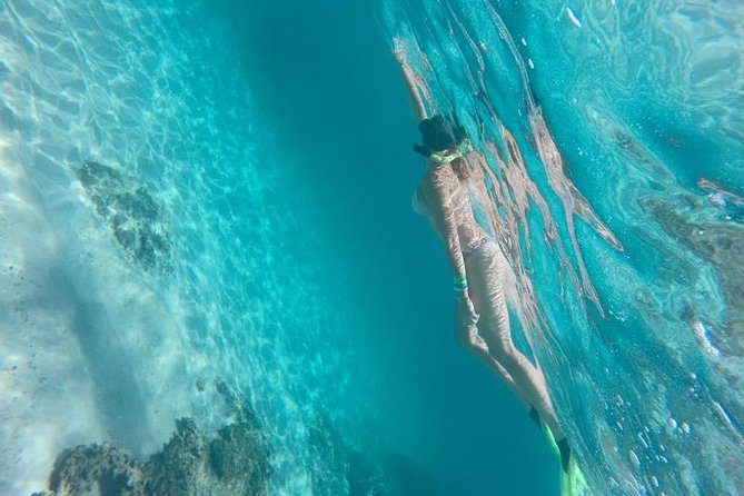 Marietas Islands Snorkeling Tour - Wildlife and Snorkeling Highlights