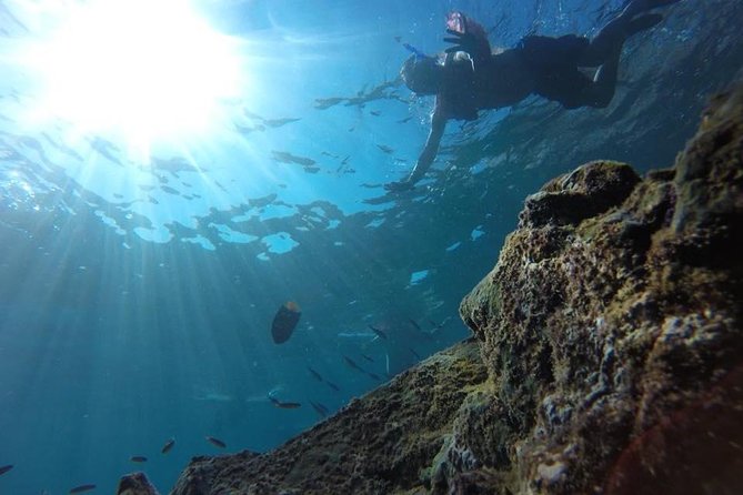 Marietas Islands Snorkeling Tour - Booking and Logistics