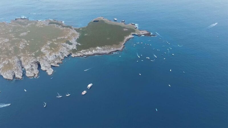 Marietas Islands Tour With Beach Nopalera - Open Bar - Activities and Amenities