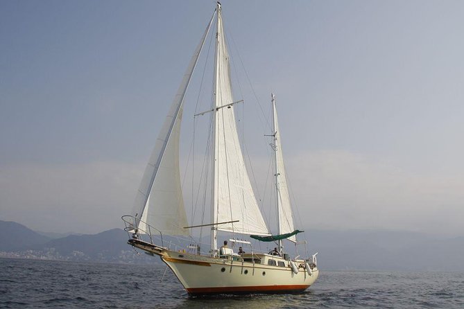 Marietas Sail, Snorkel and Beach - Wildlife Sightings