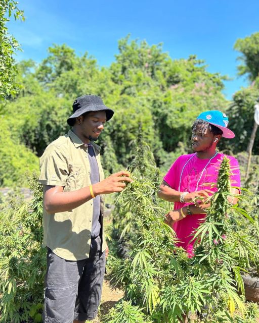 Marijuana Farm & Bamboo Rafting With Limestone Foot Massage - Observing Native Wildlife