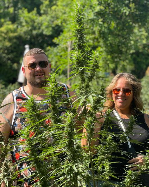 Marijuana Farm & Bamboo Rafting With Limestone Foot Massage - Insights Into Local Culture
