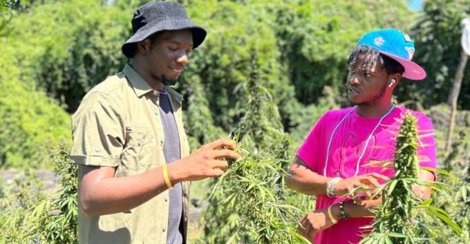Marijuana Farm & Bamboo Rafting With Limestone Foot Massage - Tour Inclusions and Booking