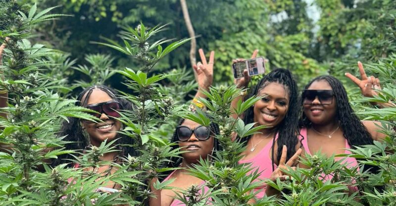 Marijuana Farm Tour - Key Points