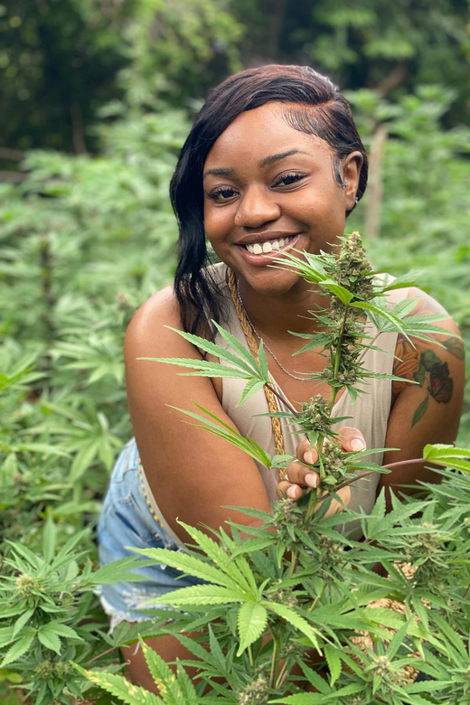 Marijuana Farm Tour - Vibrant Green Plants in Landscape