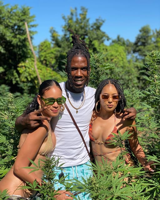 Marijuana Farm Tour - Round Trip Transportation Included