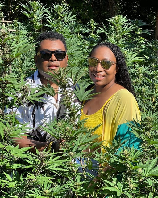 Marijuana Farm Tour - Ideal for Beyond Beach Exploration