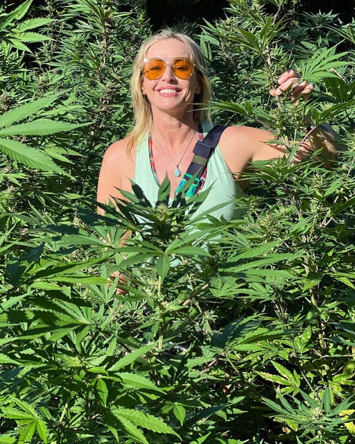 Marijuana Farm Tour - Reserve Now, Pay Later Option