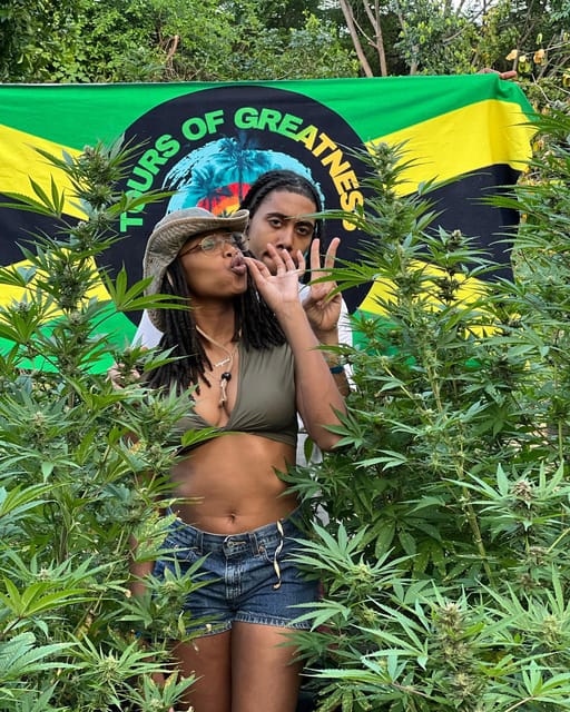 Marijuana Farm Tour - Recap