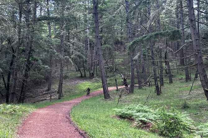 Marin County Gravel Bike - Frequently Asked Questions