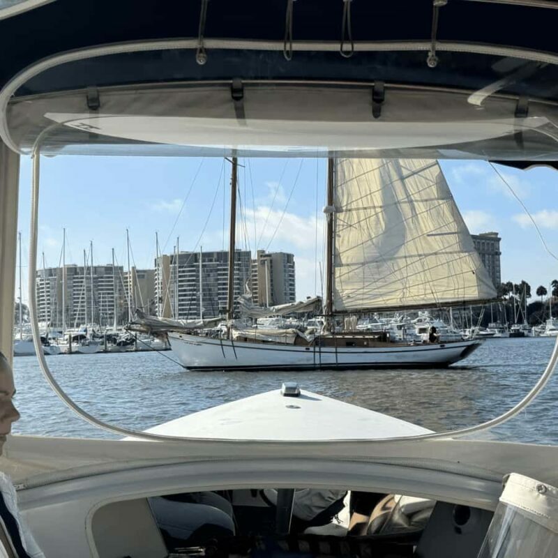 Marina del Rey: 1-Hour Boat Tour - Key Points
