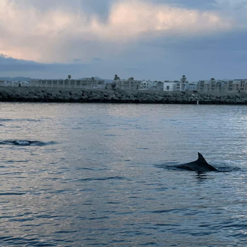 Marina del Rey: 1-Hour Boat Tour - Authentic Reviews: Real Opinions from Travelers