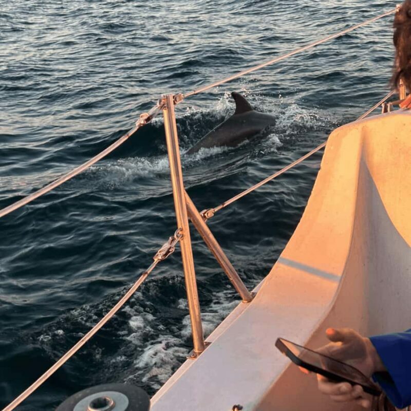 Marina del Rey: 1-Hour Boat Tour - Final Thoughts: Is It Worth It?