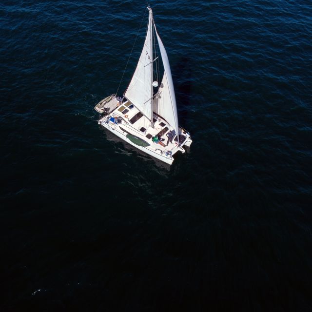 Marina Del Rey : 4 Hour Private Catamaran Sailboat for 6 - Motion Sickness Precautions and Recommendations