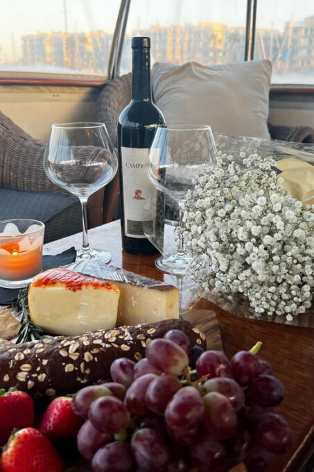 Marina Del Rey; Luxury Wine & Charcuterie Yacht Experience - Scenic Views and Wildlife Sightings