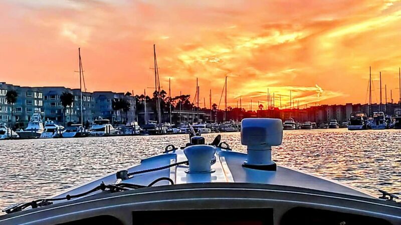 Marina Del Rey: Romantic Cruise, Wine, Cheese, Sealions - Authentic Experiences from Reviewers