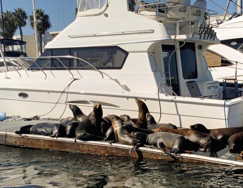 Marina Del Rey: Romantic Cruise With Dinner or Charcuterie - Included Features and Amenities