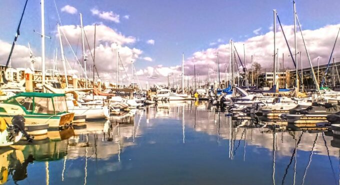 Marina Del Rey: Romantic Cruise With Dinner or Charcuterie - Scenery and Wildlife Highlights
