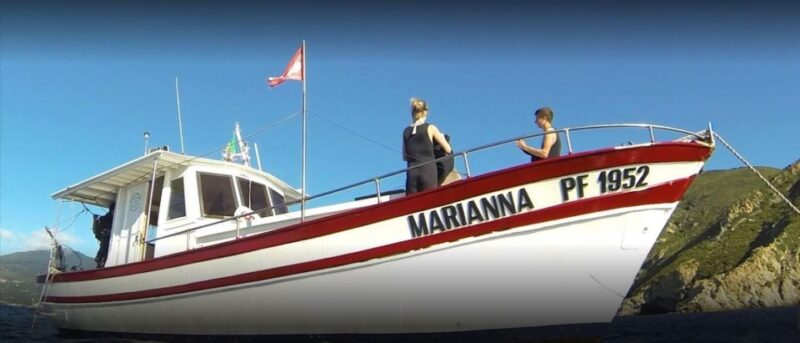MARINA DI CAMPO: DIVING ON THE ISLAND OF ELBA AND PIANOSA - Diving Experience