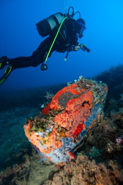 MARINA DI CAMPO: DIVING ON THE ISLAND OF ELBA AND PIANOSA - Itinerary and Safety