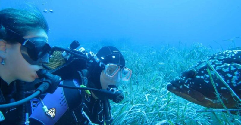 MARINA DI CAMPO: DIVING ON THE ISLAND OF ELBA AND PIANOSA - Inclusion and Exclusions
