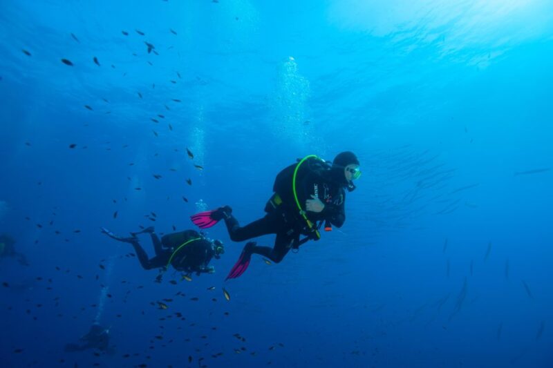 MARINA DI CAMPO: DIVING ON THE ISLAND OF ELBA AND PIANOSA - Customer Feedback