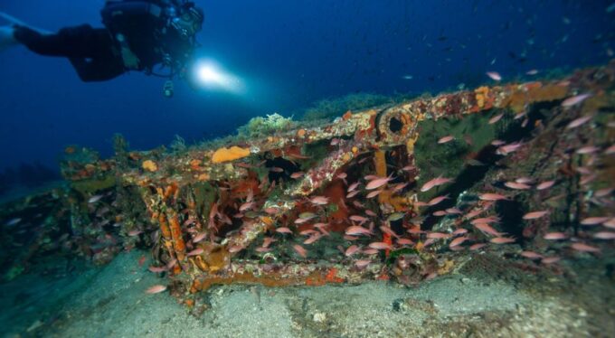 MARINA DI CAMPO: DIVING ON THE ISLAND OF ELBA AND PIANOSA - Preparing for Your Diving Excursion