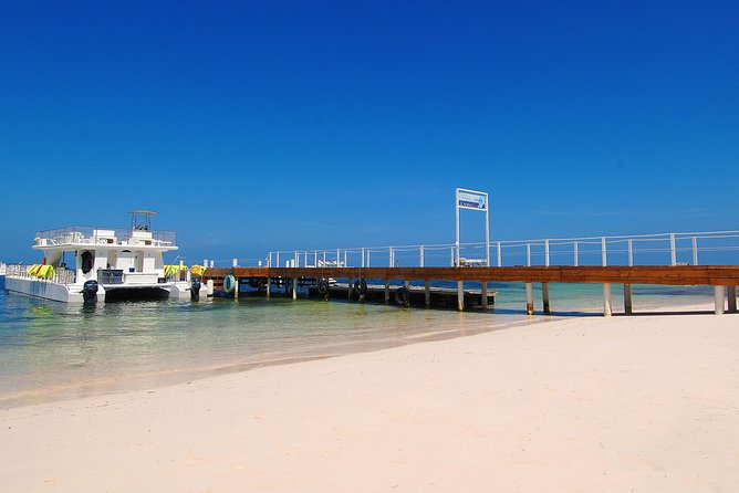 Marinarium Snorkeling Cruise From Bayahibe - Inclusions and Amenities