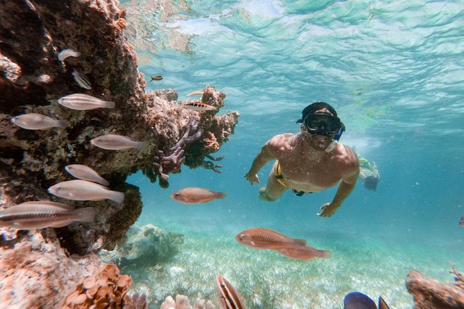 Marinarium Snorkeling Cruise From Bayahibe - Highlights and Experiences