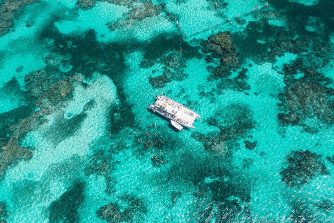 Marinarium Snorkeling Cruise From Punta Cana - Inclusions and Logistics