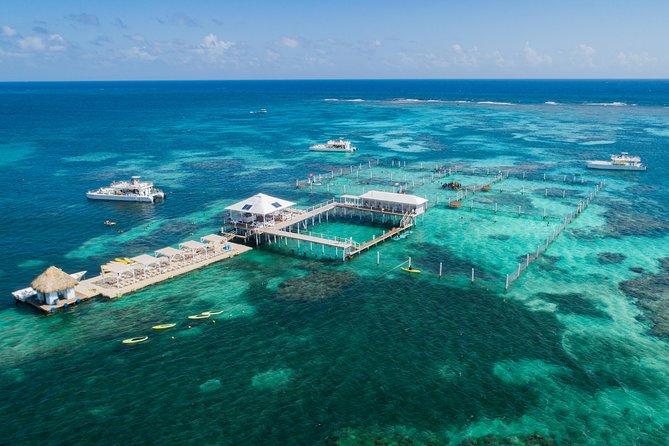 Marinarium Snorkeling Cruise From Punta Cana - Snorkeling Adventure