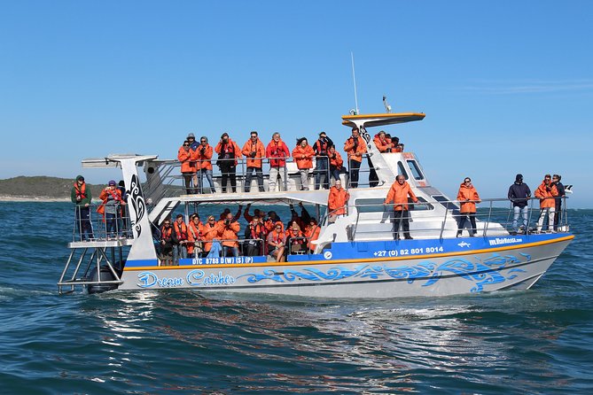 Marine Big 5 Full Day Guided Return Transfer Cape Town - Gansbaai - Whale Watching Experience